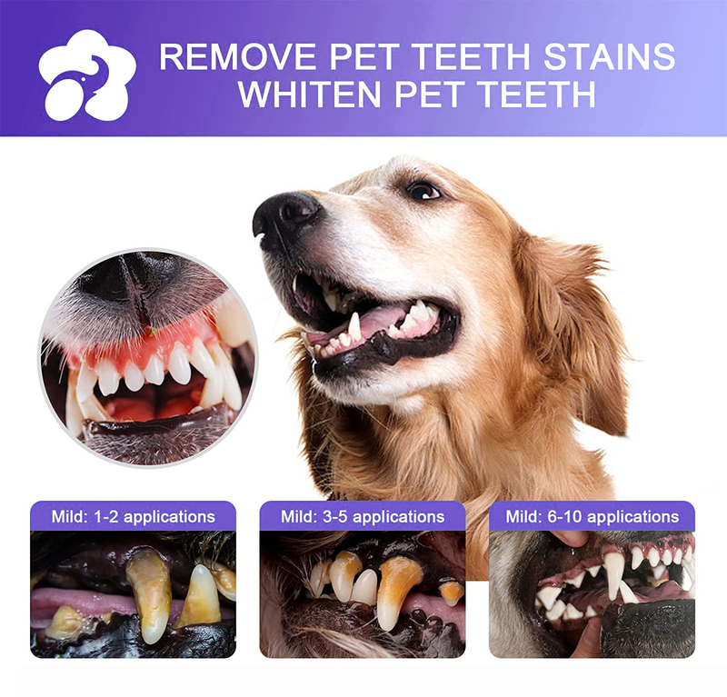Petry® Limpieza dental para mascotas | 1+1 GRATIS